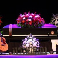 Wayne Mills Live Stream